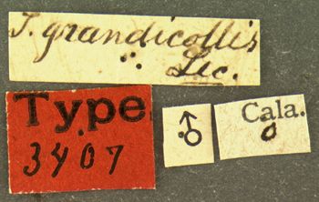 Media type: image;   Entomology 3407 Aspect: labels